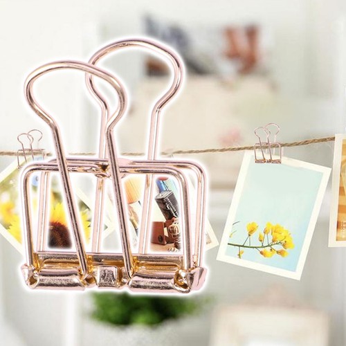 Rose gold hollow - rose, binder